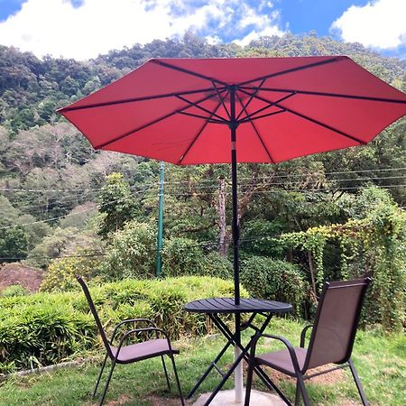 Los Lagos Lodge San Gerardo de Dota Ngoại thất bức ảnh