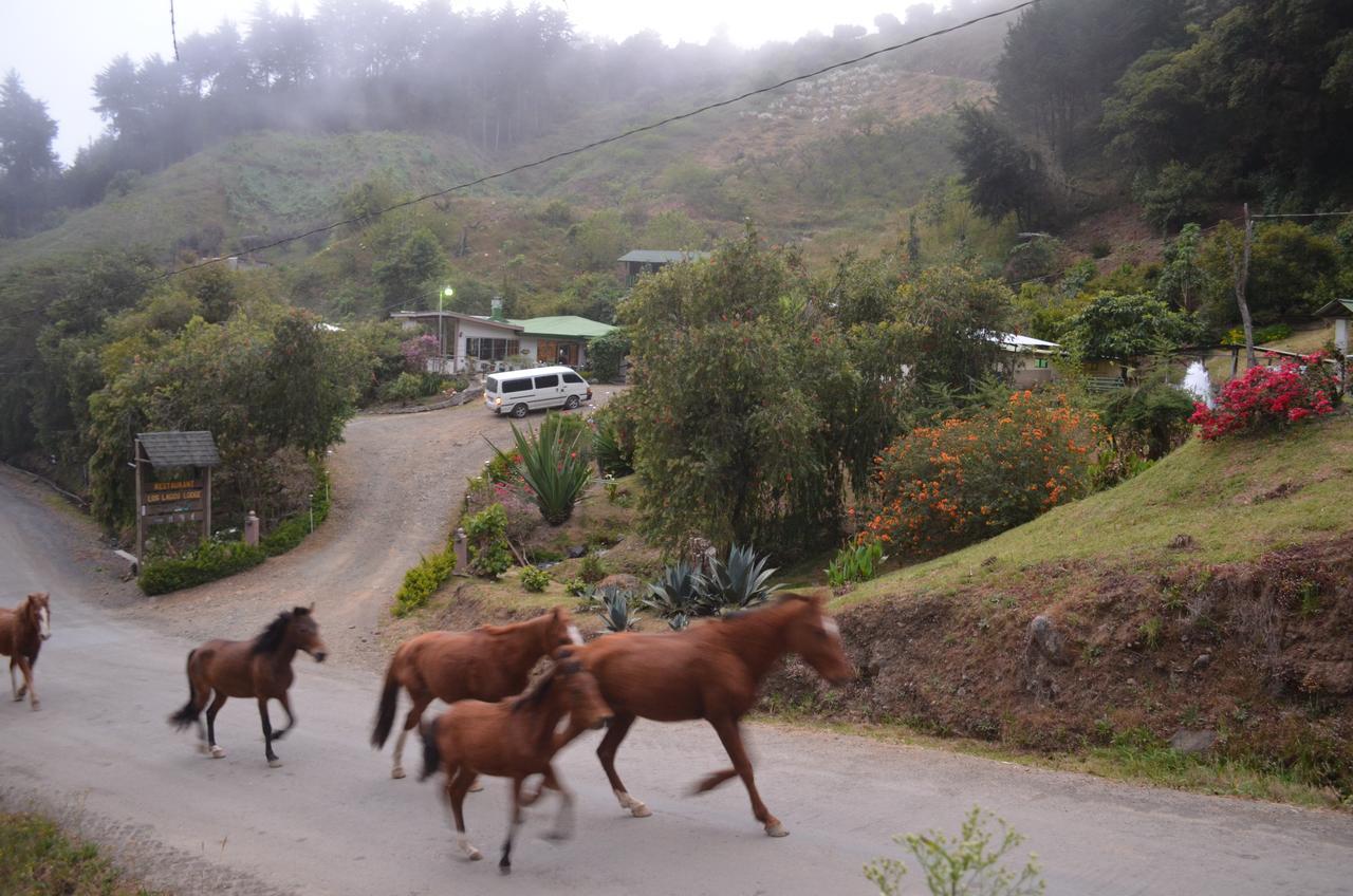 Los Lagos Lodge San Gerardo de Dota Ngoại thất bức ảnh