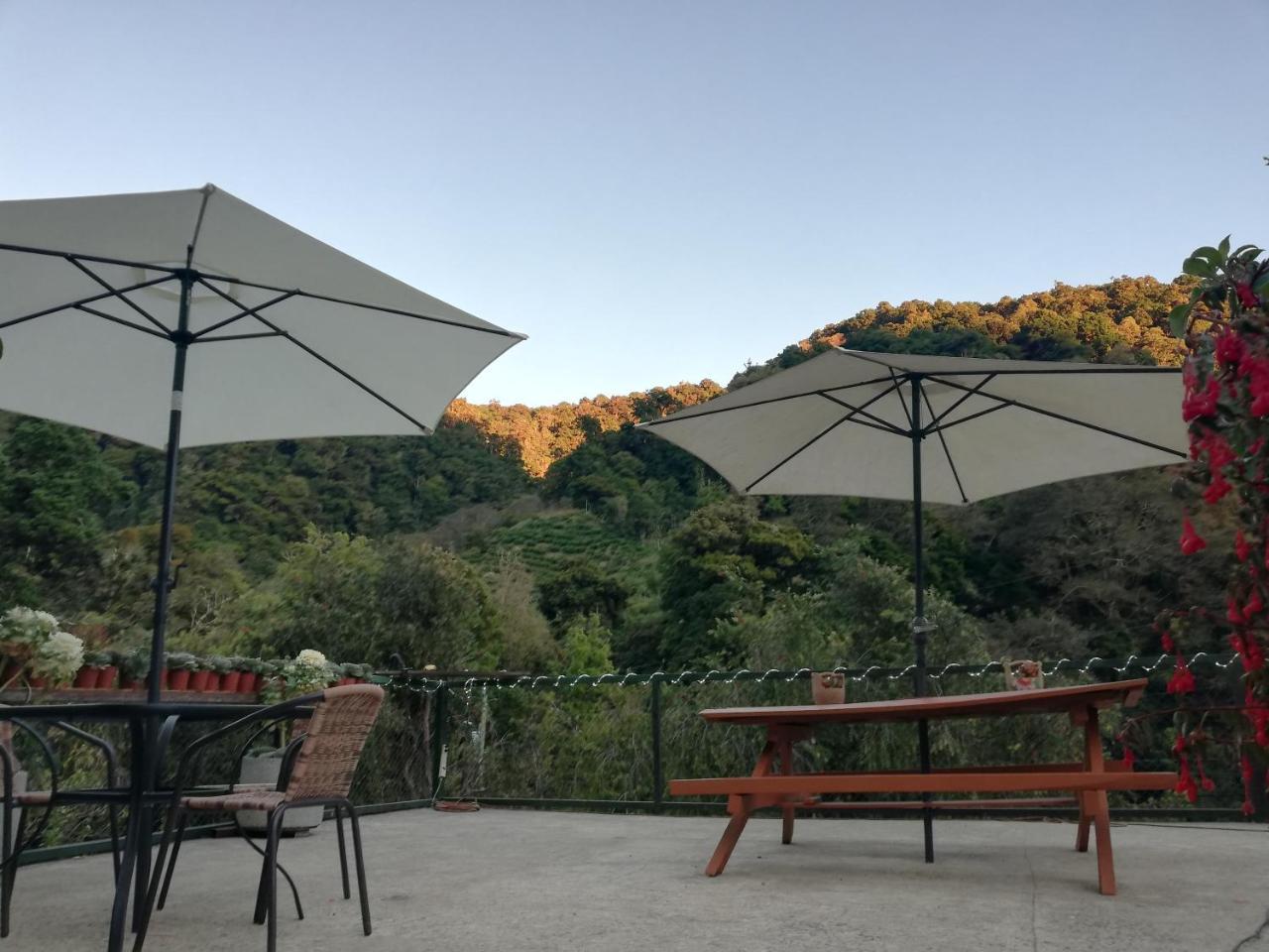 Los Lagos Lodge San Gerardo de Dota Ngoại thất bức ảnh